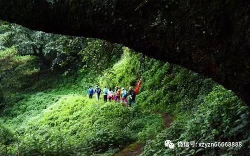 敏捷小球