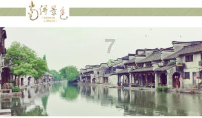 “辣”味十足的“幸福合欢菜”
